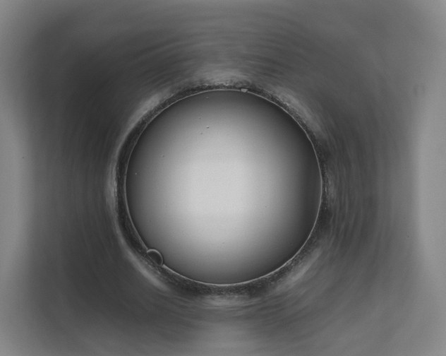 X0000111630630200907241051