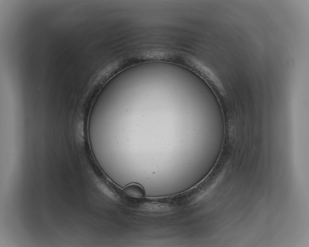 X0000111630633200907241051