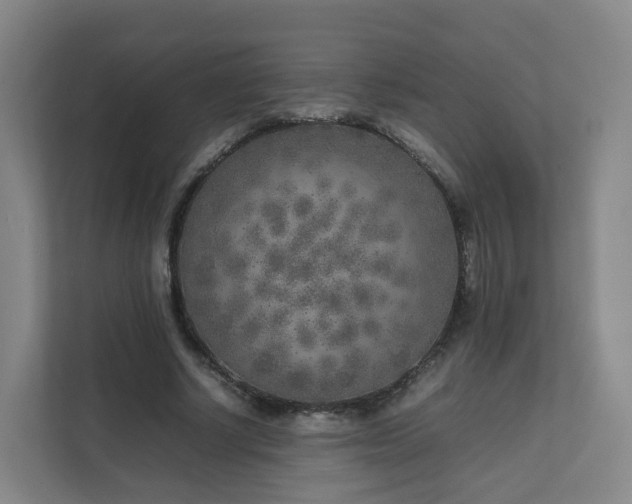 X0000111630634200907241051