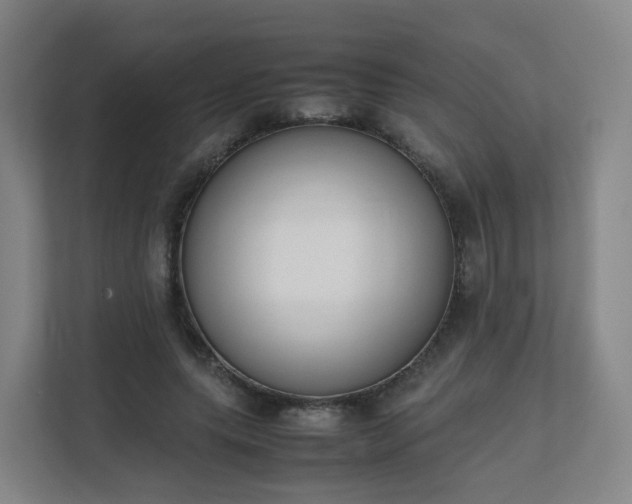 X0000111630639200907241051