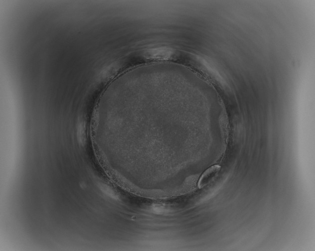 X0000111630641200907241051