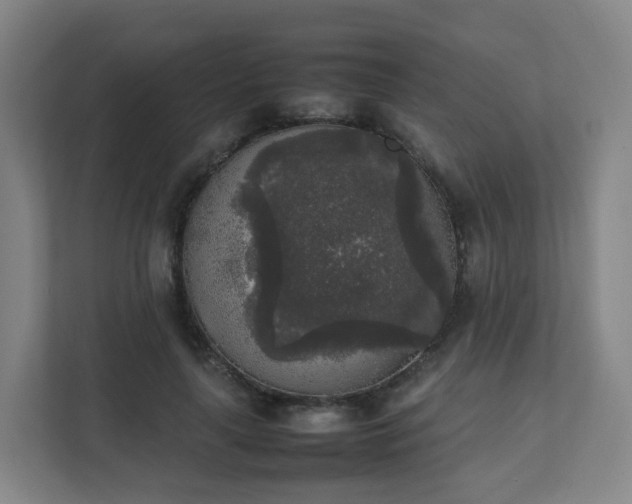 X0000111630643200907241051