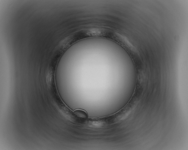 X0000111630645200907241051