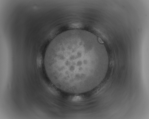 X0000111630647200907241051