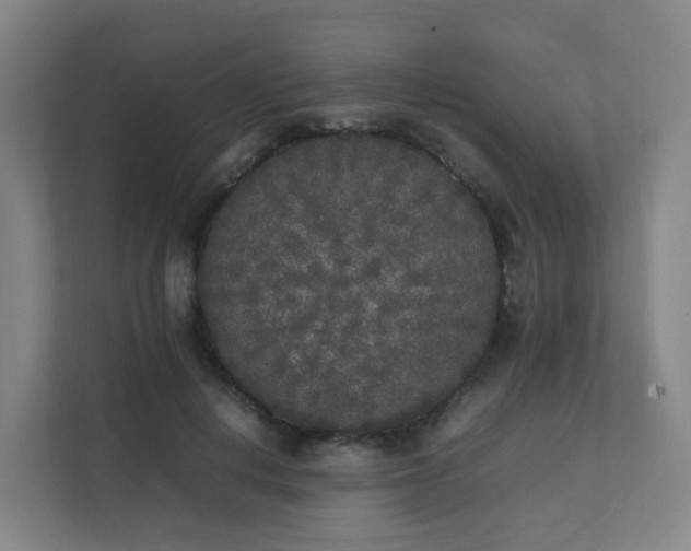 X0000111630648200907241051