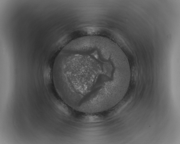 X0000111630650200907241051