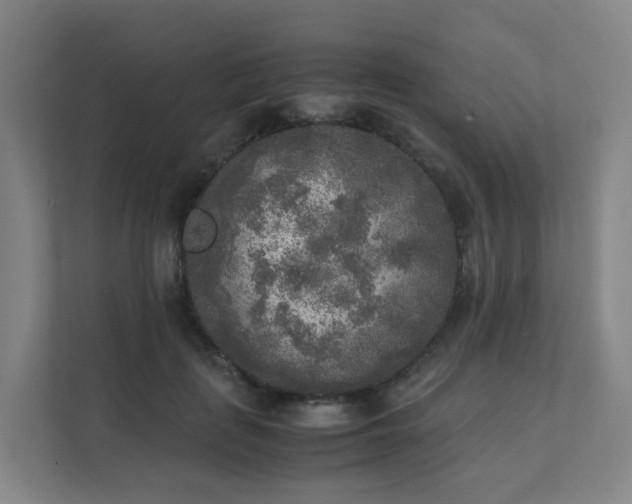 X0000111630651200907241051