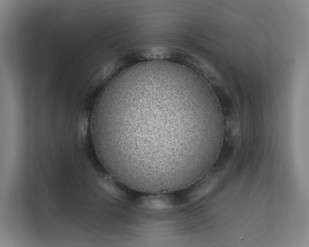 X0000111630652200907241051