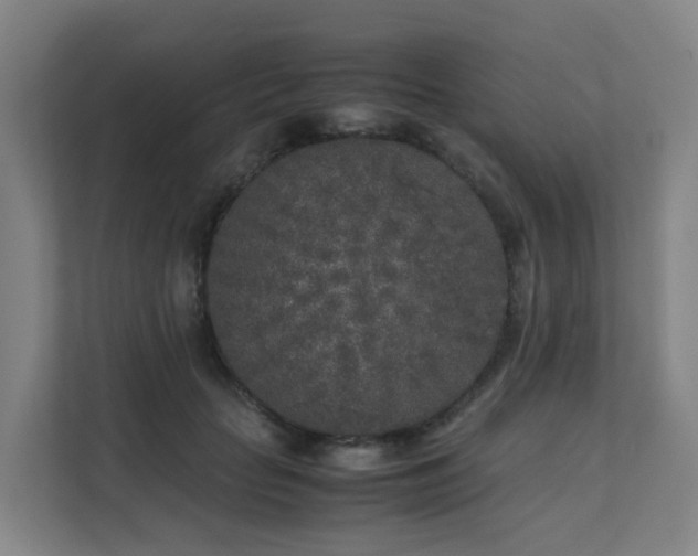 X0000111630653200907241051