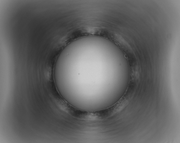 X0000111630656200907241051