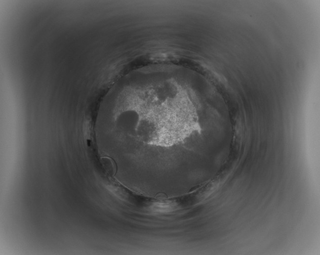 X0000111630659200907241051