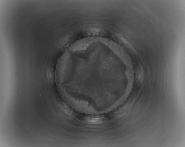 X0000111630661200907241051