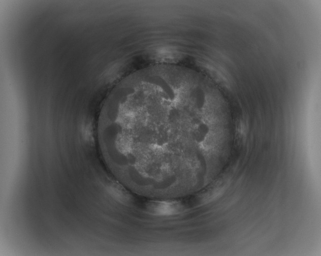 X0000111630663200907241051