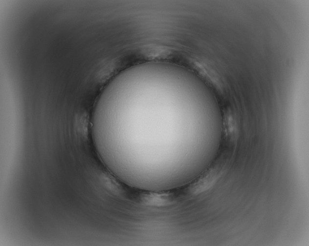 X0000111630664200907241051