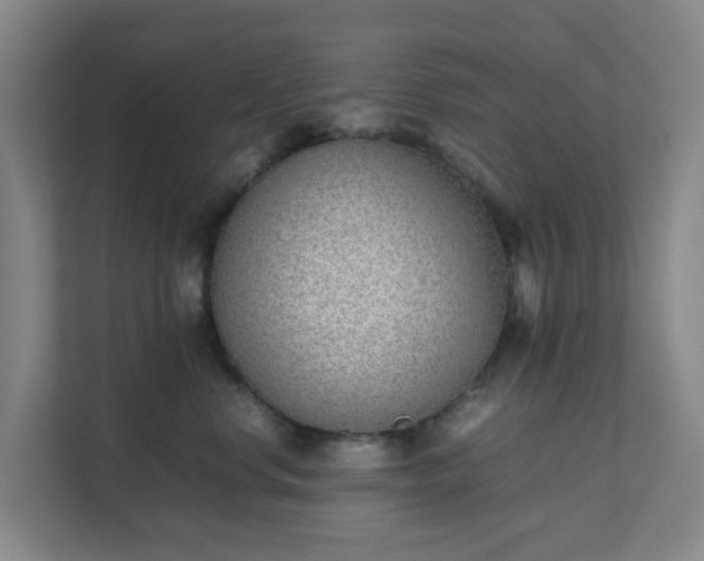 X0000111630668200907241051