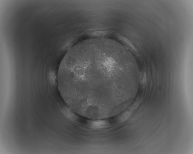 X0000111630669200907241051