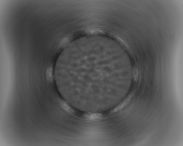 X0000111630670200907241051