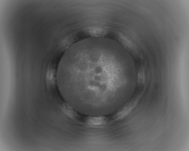 X0000111630671200907241051