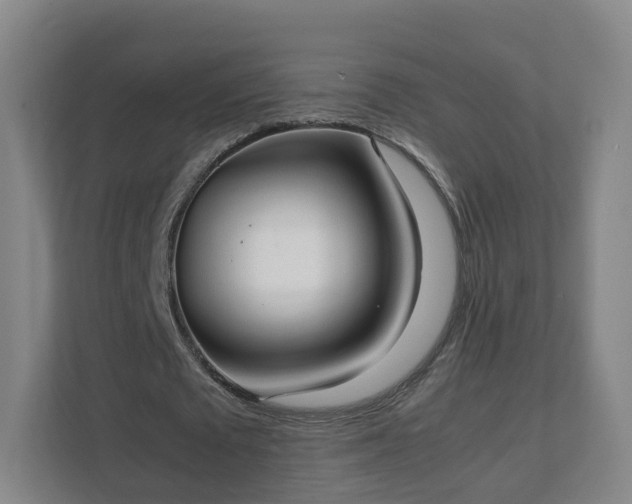 X0000111630673200907241051