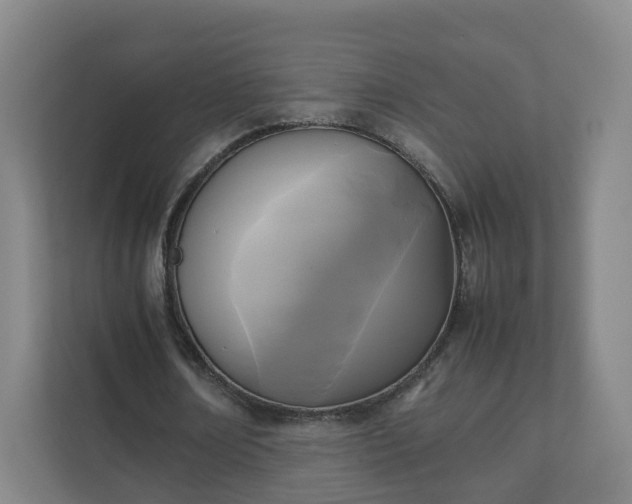 X0000111630674200907241051