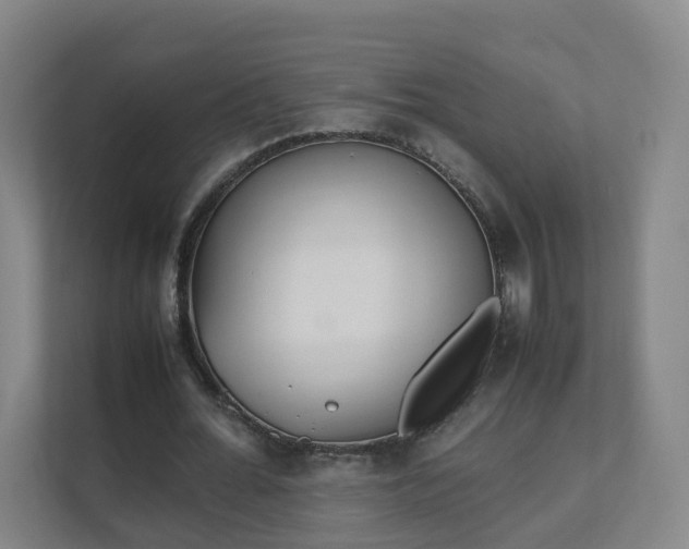 X0000111630676200907241051