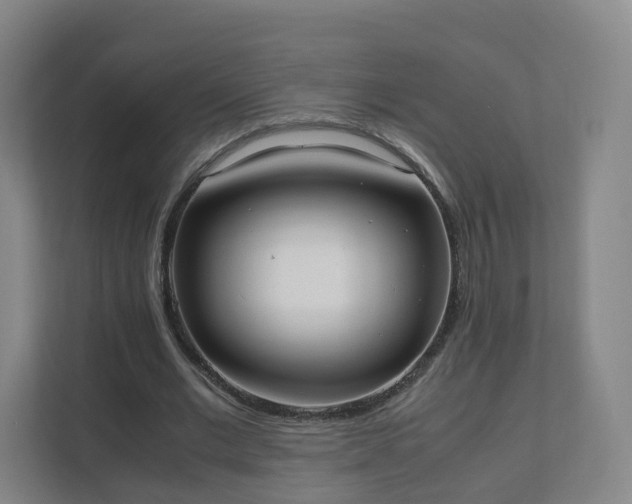 X0000111630677200907241051