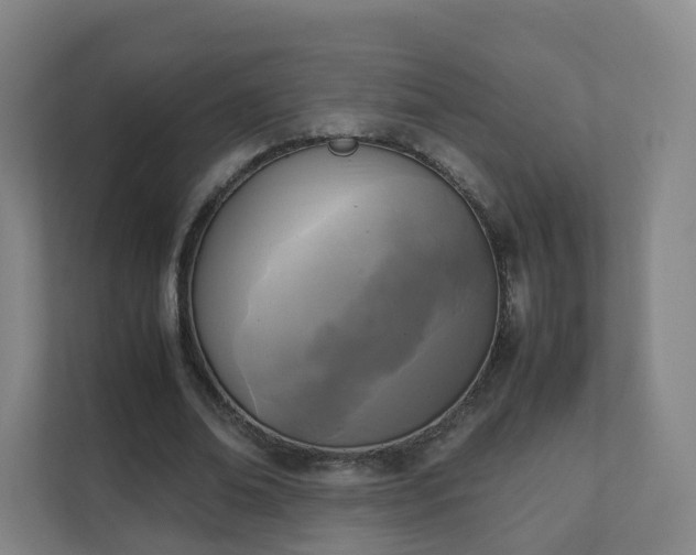 X0000111630678200907241051