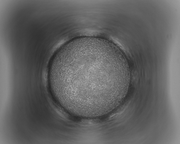 X0000111630679200907241051