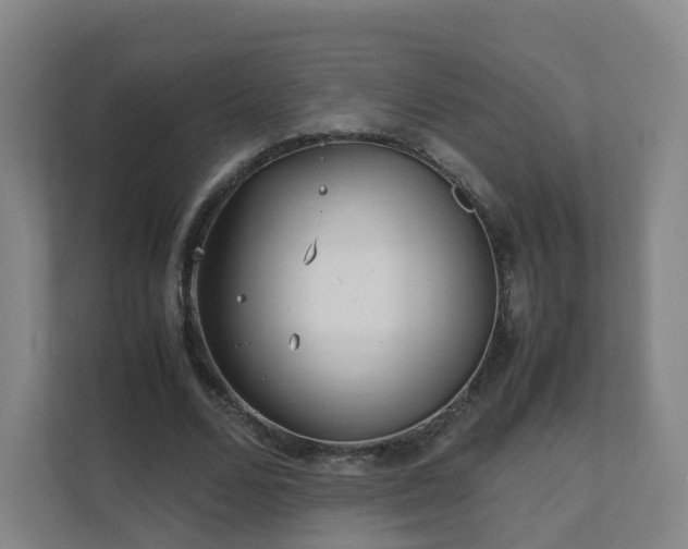 X0000111630680200907241051