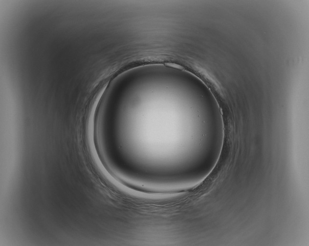 X0000111630681200907241051