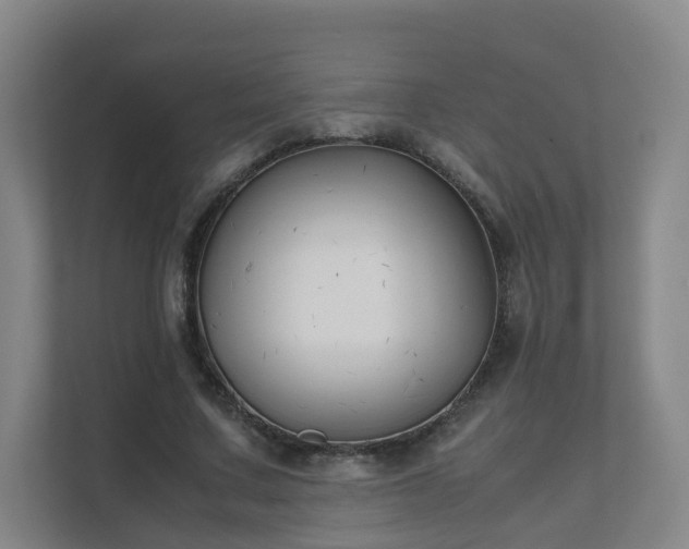 X0000111630683200907241051