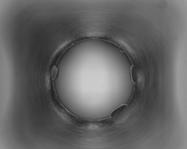 X0000111630684200907241051