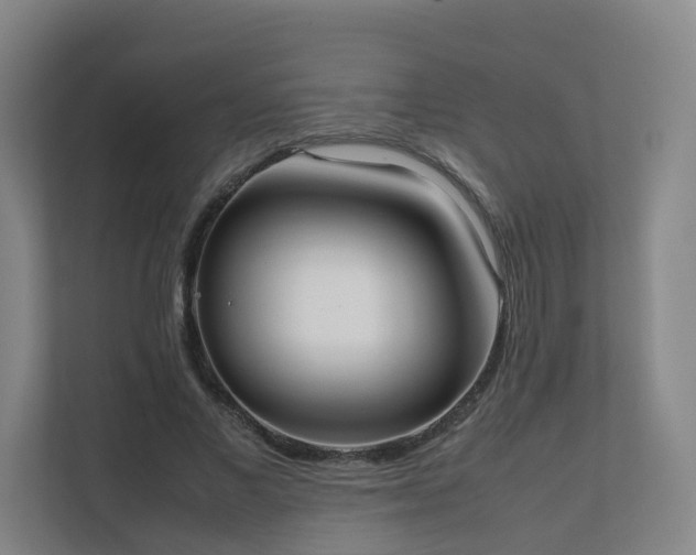 X0000111630685200907241051