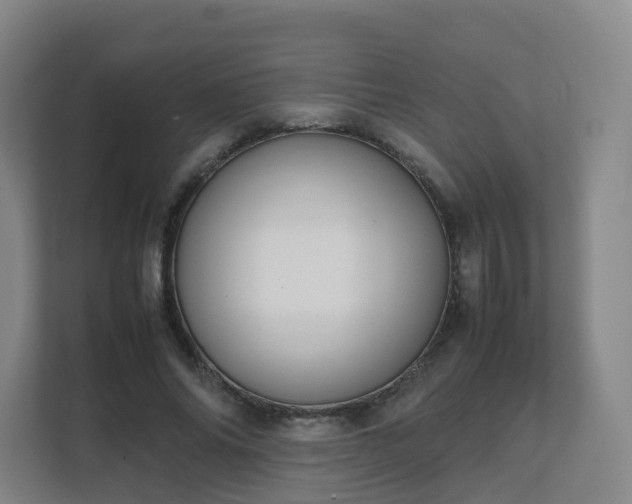 X0000111630686200907241051