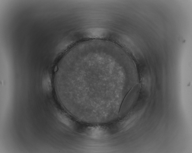 X0000111630688200907241051