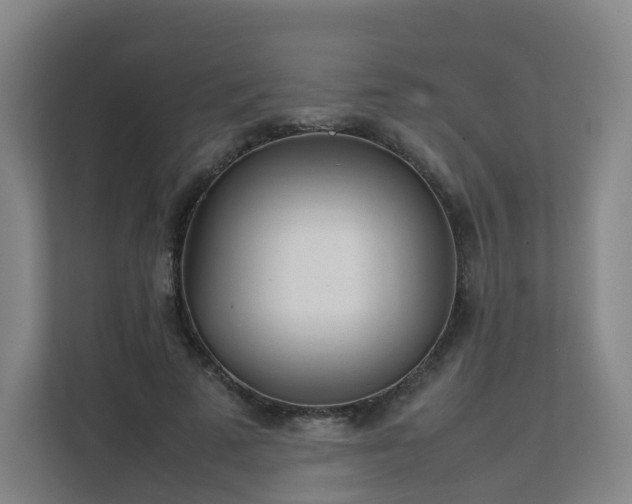 X0000111630689200907241050