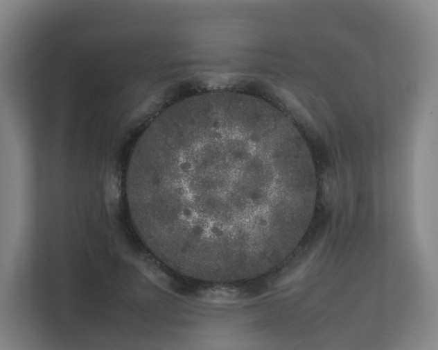 X0000111630691200907241050