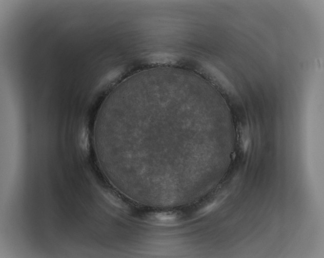 X0000111630692200907241050