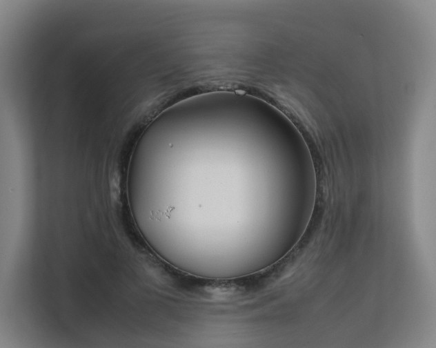 X0000111630693200907241050