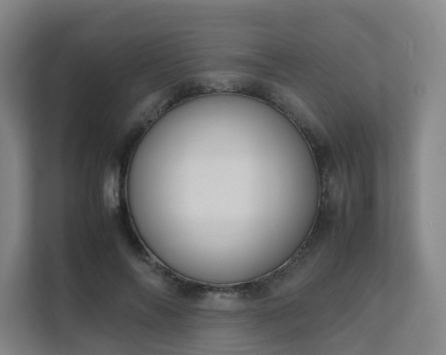 X0000111630694200907241050