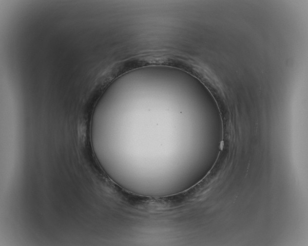 X0000111630697200907241050