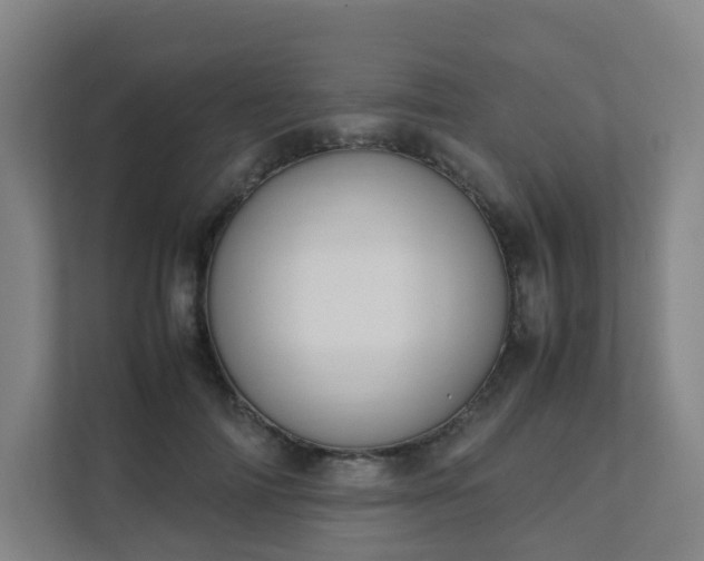 X0000111630698200907241050