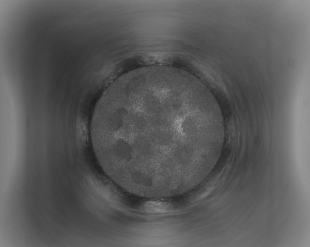 X0000111630699200907241050