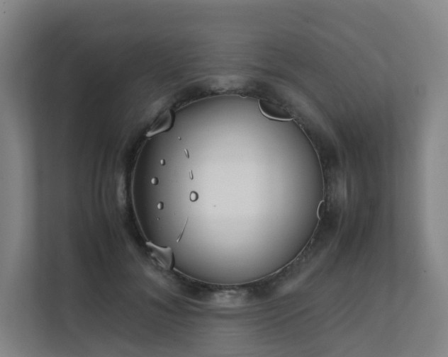 X0000111630700200907241050