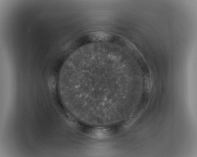 X0000111630701200907241050