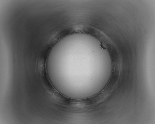 X0000111630702200907241050