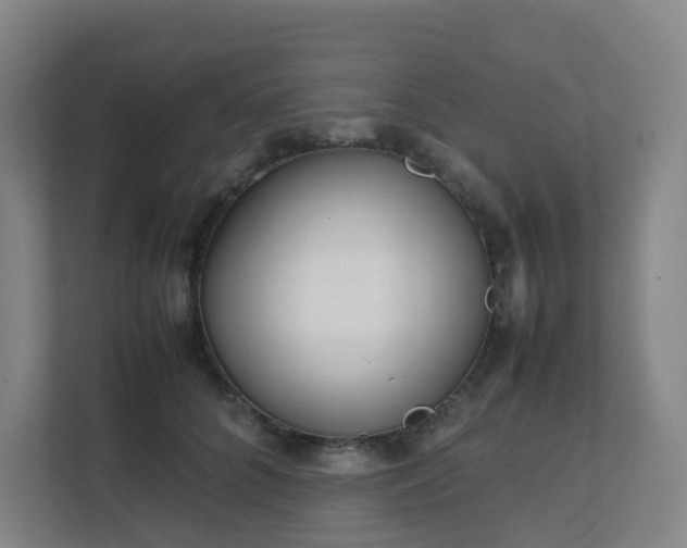 X0000111630704200907241050