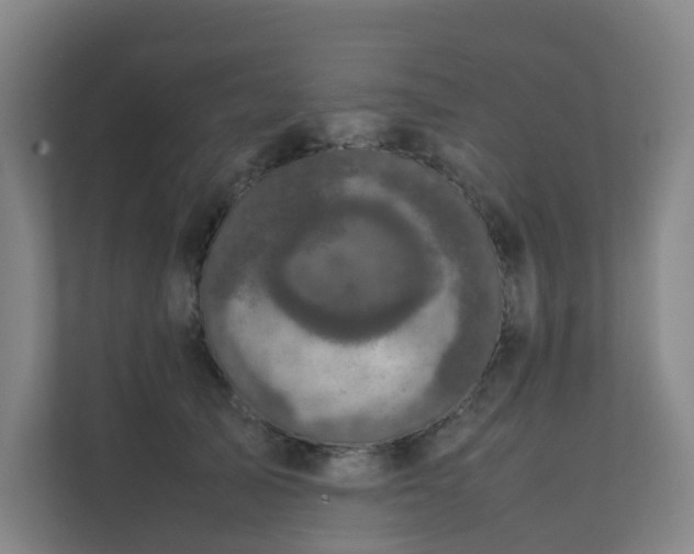 X0000111630705200907241050