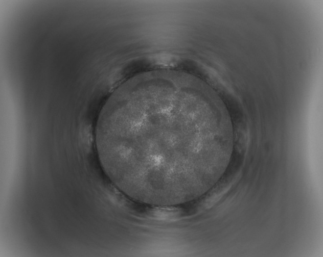 X0000111630707200907241050