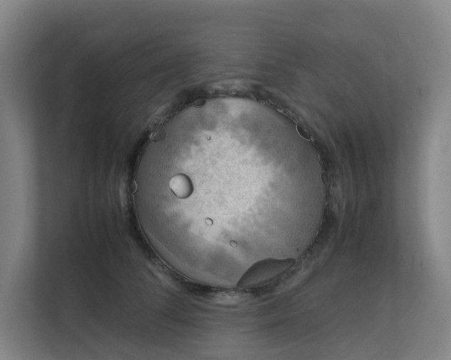 X0000111630708200907241050